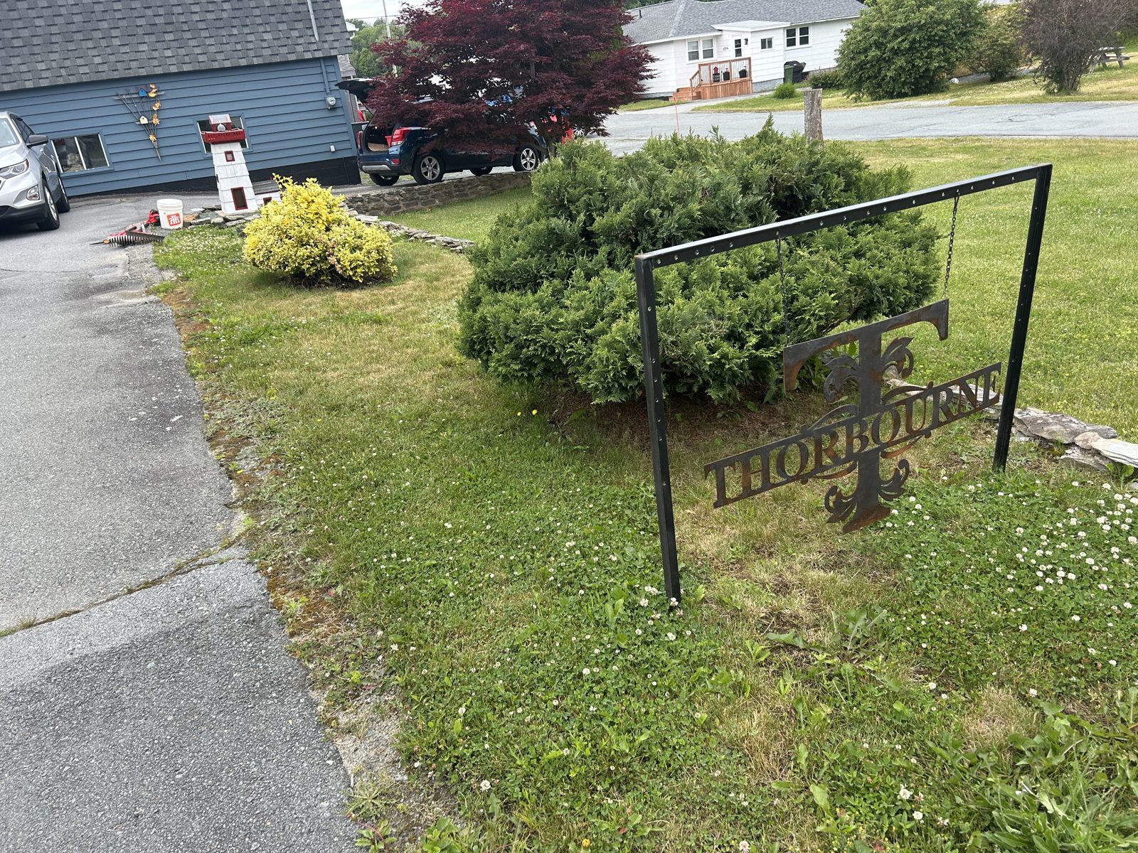 Garden bed before: overgrown and weedy
